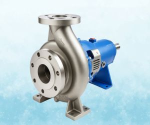 Centrifugal Process Pumps