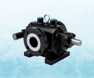 Rotary Gear Pumps